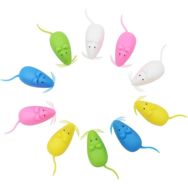 SET SURTIDO CAJITA PARA DIENTES